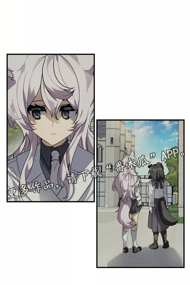 动物小画册漫画,第38章：庆典2图