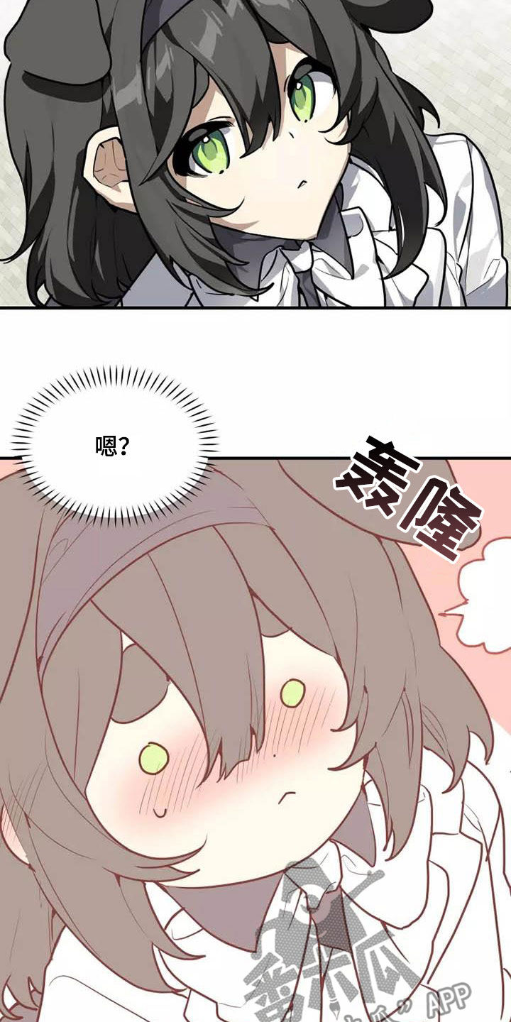 动物校园漫画在线免费看全集漫画,第35章：为什么说谎2图