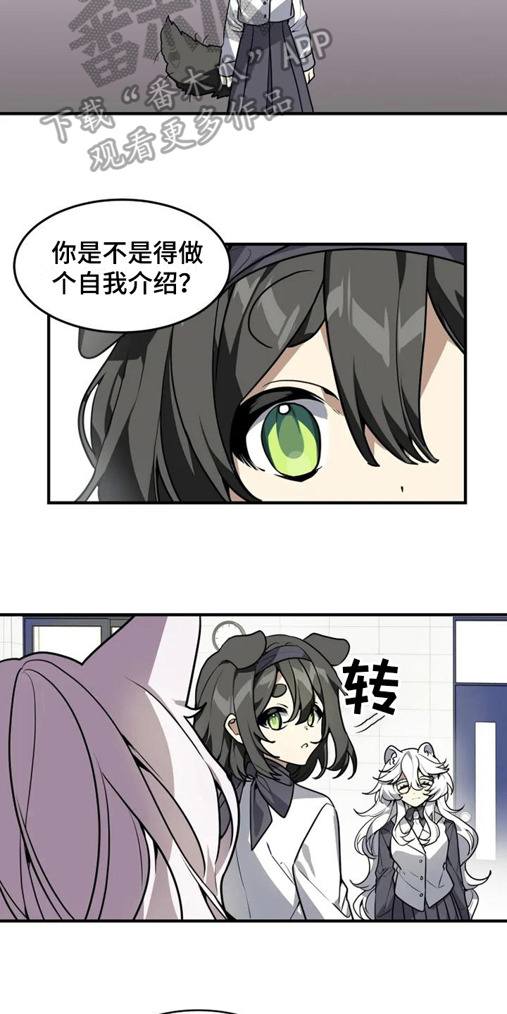 动物小块连连看漫画,第8章：加入1图