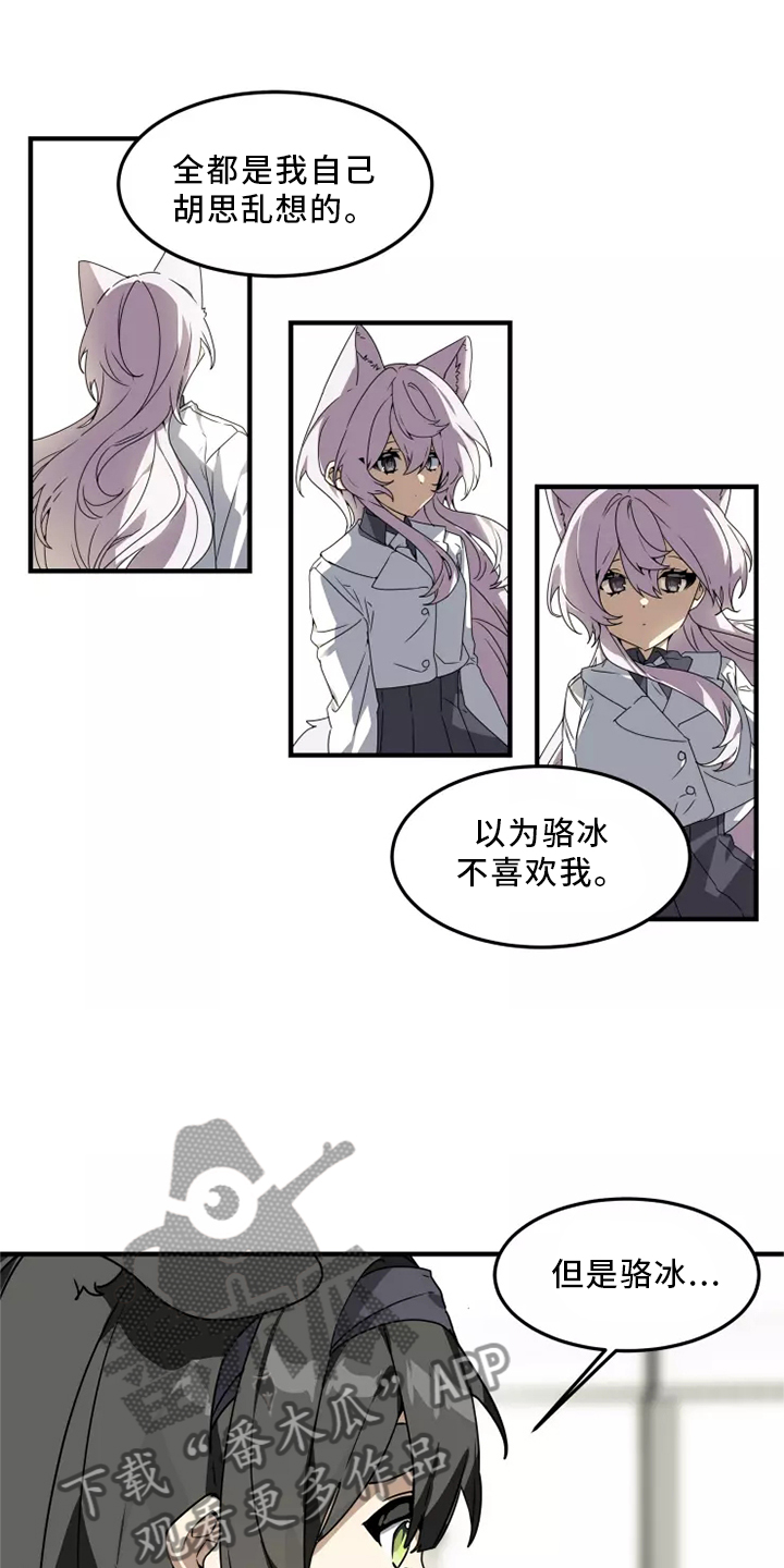 动物消消乐小游戏漫画,第37章：听说2图