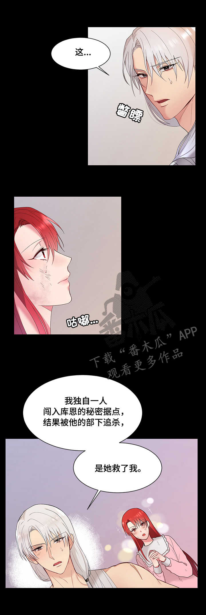 陌生王妃漫画,第4章：王妃1图