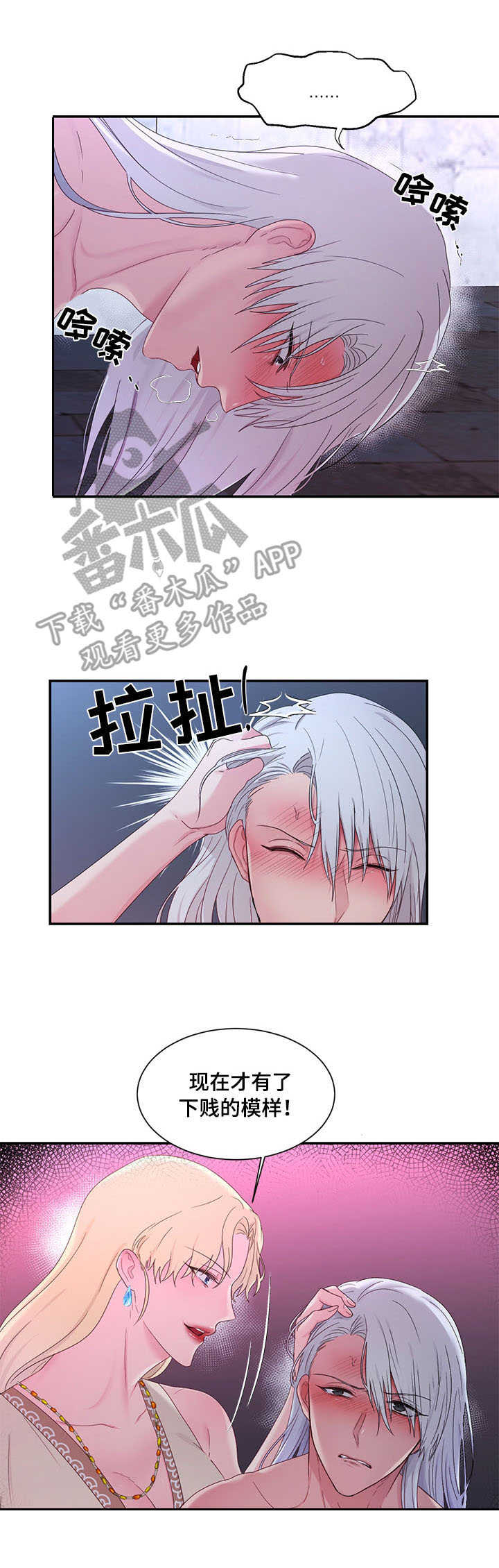 陌生王妃皮皮虾官网免费阅读漫画,第26章：狼狈为奸2图