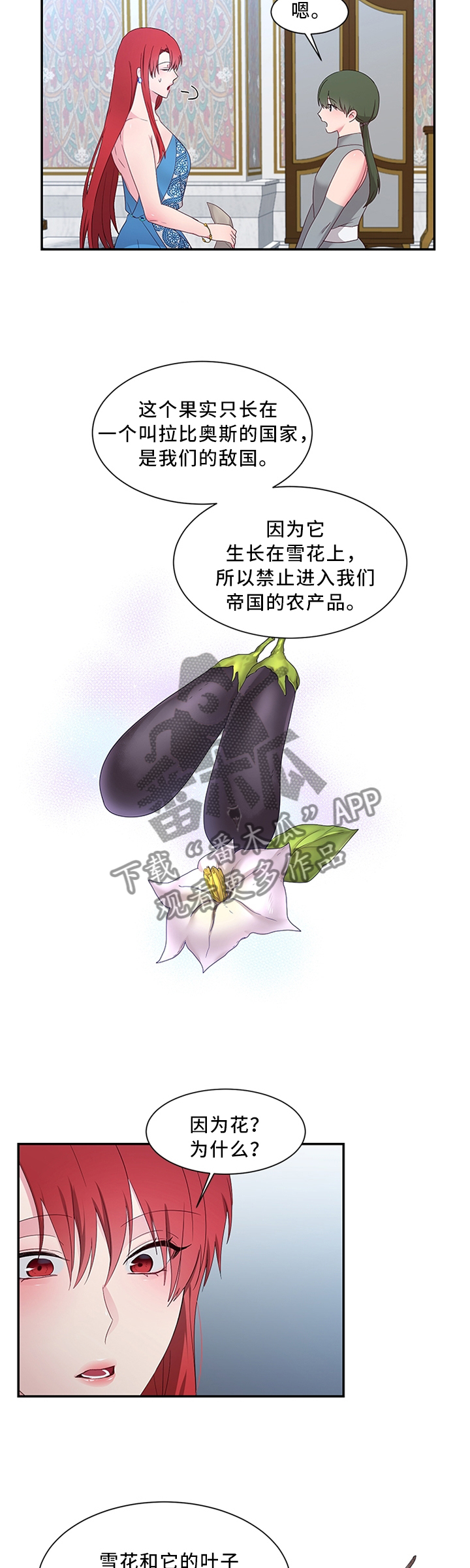 陌生王妃陛下是我的韩漫免费观看漫画,第33章：你想做什么2图