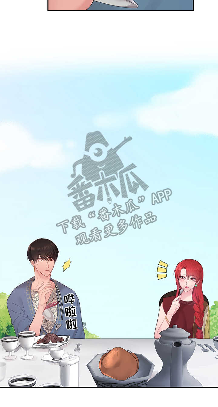 陌生王妃陛下是我的韩漫免费观看漫画,第13章：宴会2图