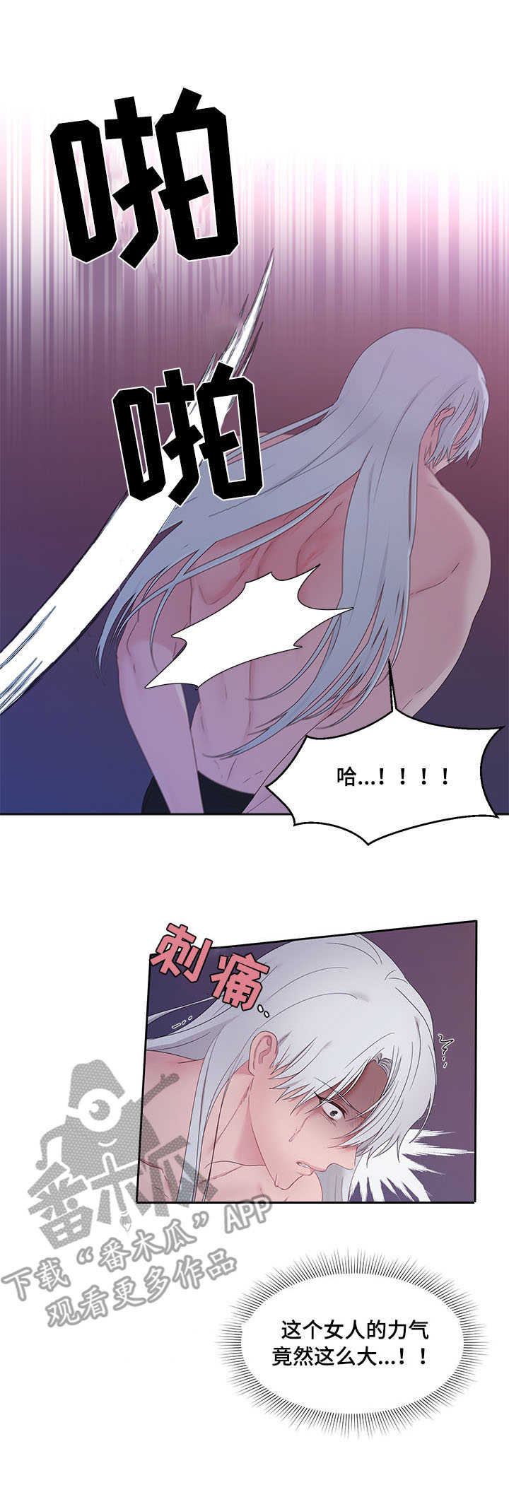 陌生王妃漫画免费观看全集下拉漫画,第25章：鞭刑1图