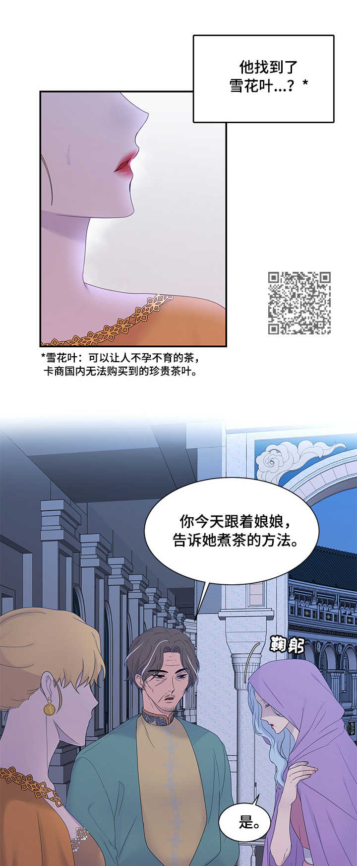 陌生王妃别名漫画,第20章：雪花叶2图