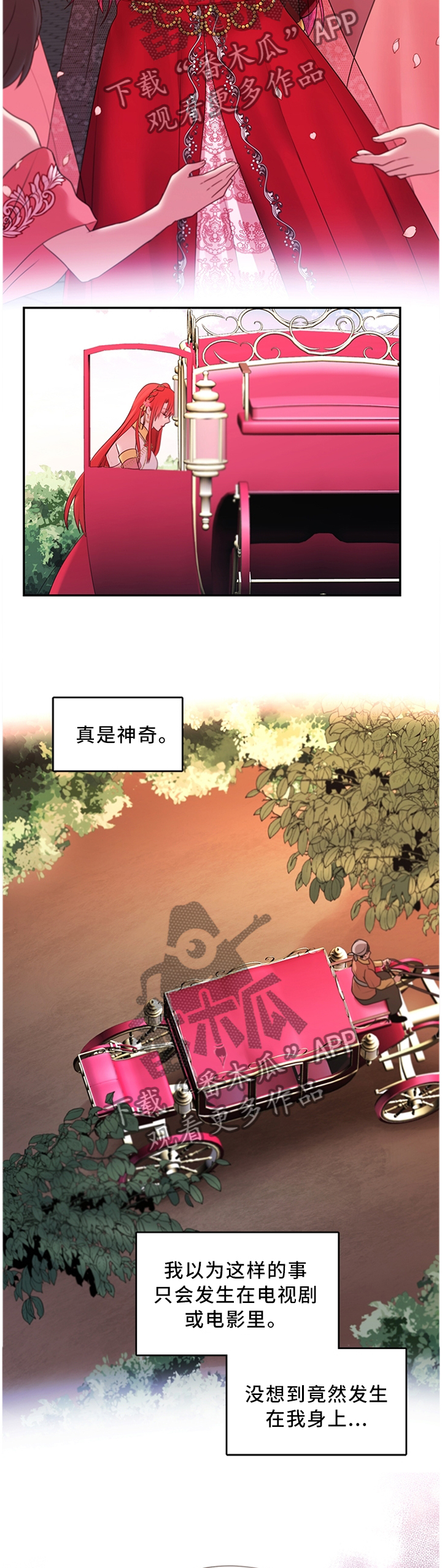 陌生王妃漫画免费阅读漫画,第62章：女王花1图