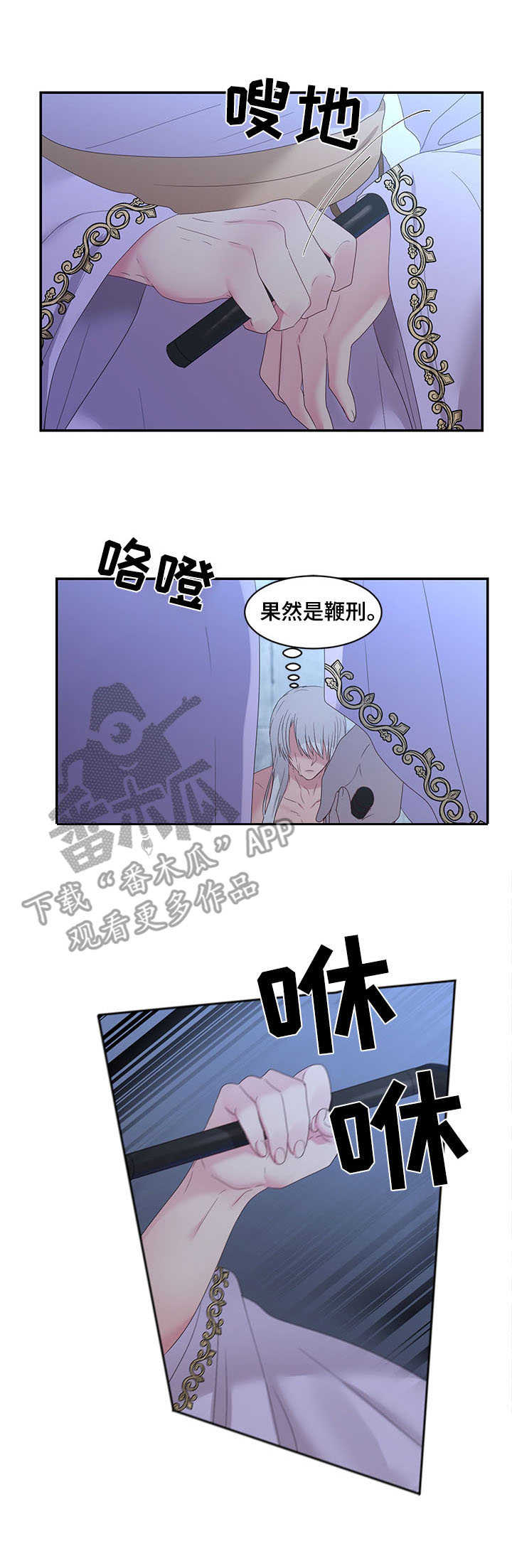 陌生王妃漫画,第25章：鞭刑2图