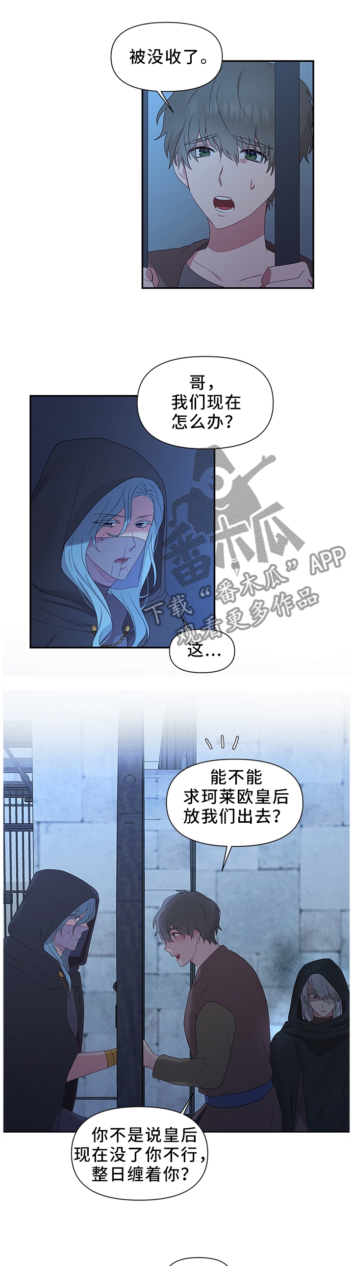 陌生王妃漫画免费观看全集下拉漫画,第44章：调查清楚1图