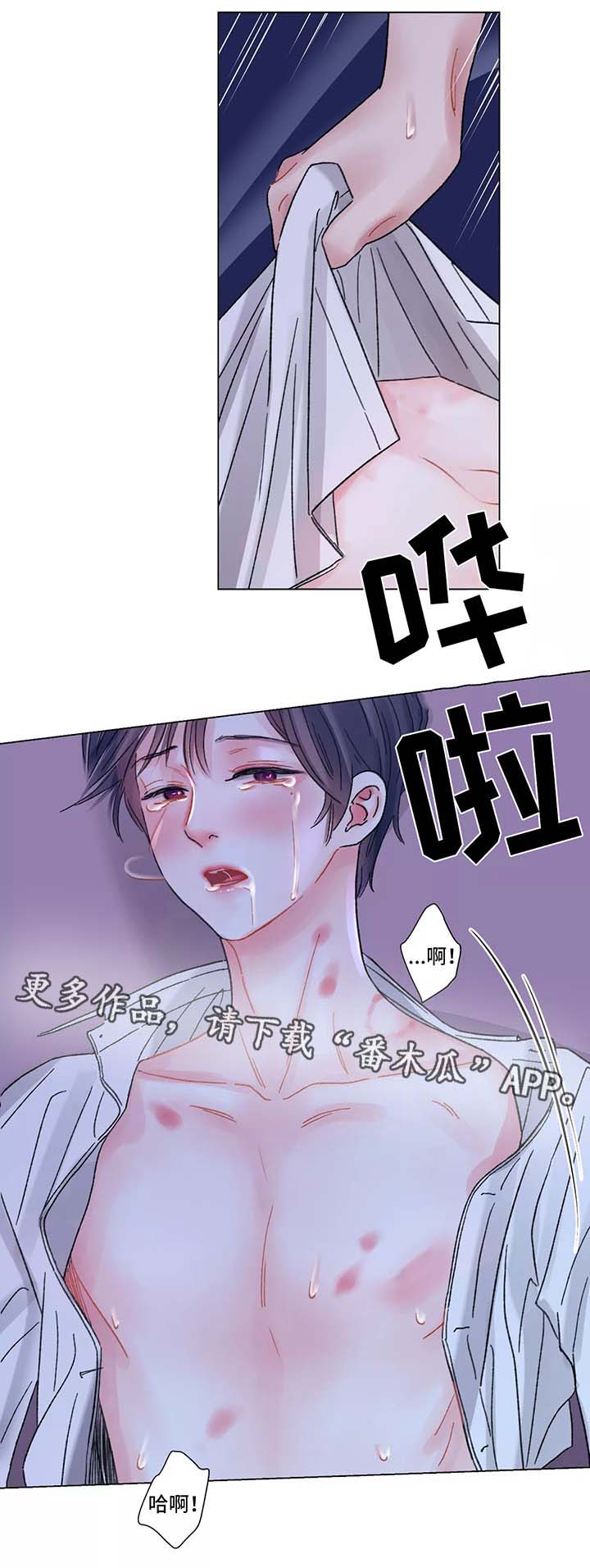 接纳不完美的自己免费阅读漫画,第51章：对不起1图