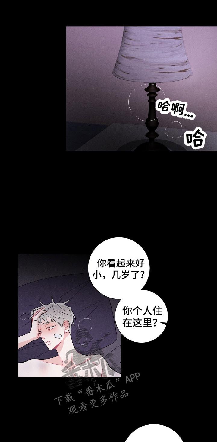 命运纠缠漫画,第41章：欺骗与谎言1图