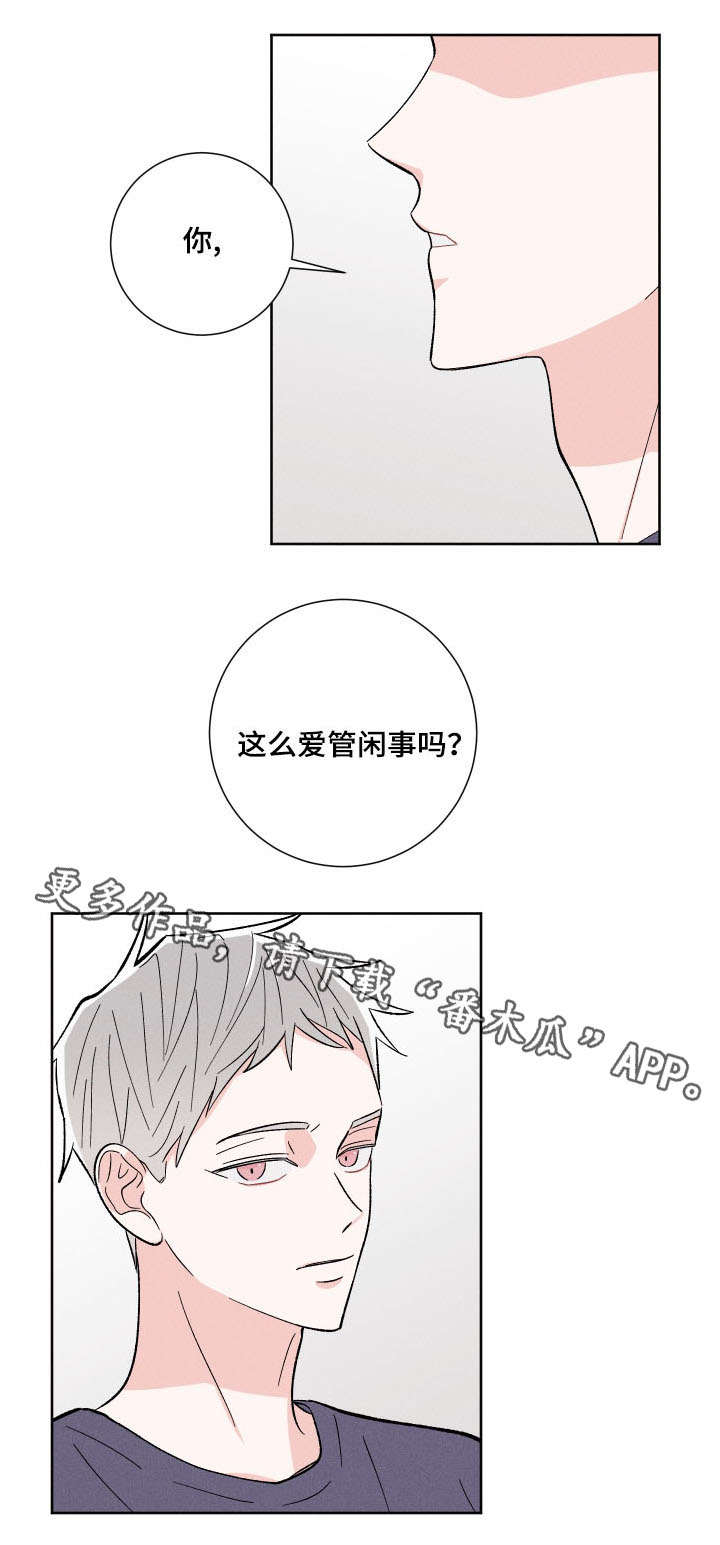 命运纠缠漫画,第5章：闲事2图