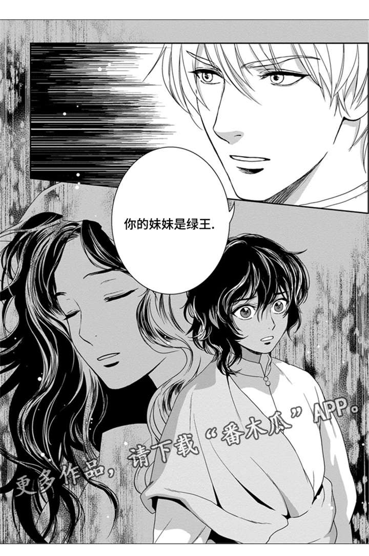 真假术师漫画,第28章：妹妹是绿王2图