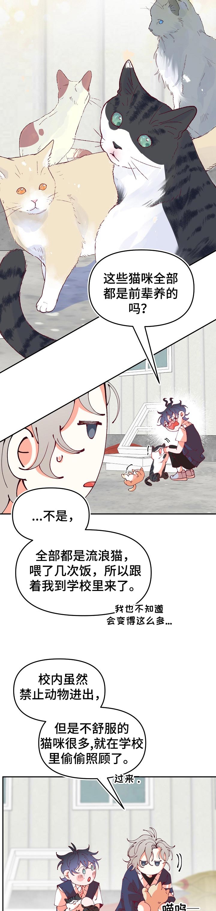 青春年华漫画,第59章：题目2图