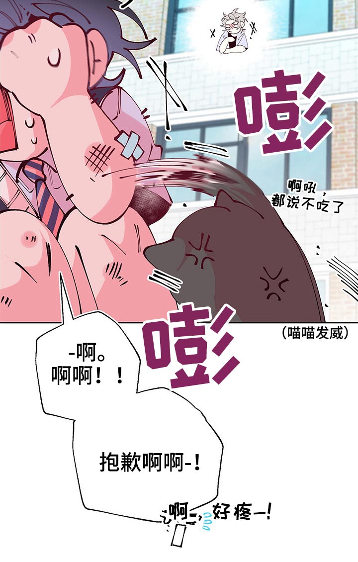 青春年华纪录片漫画,第83章：遇见1图