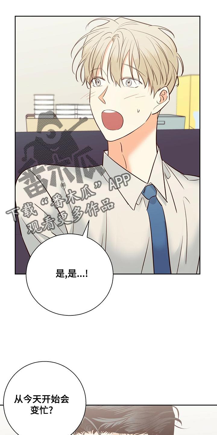 危险便利店全集免费在线收看漫画,第165章：【第三季】繁忙的工作2图