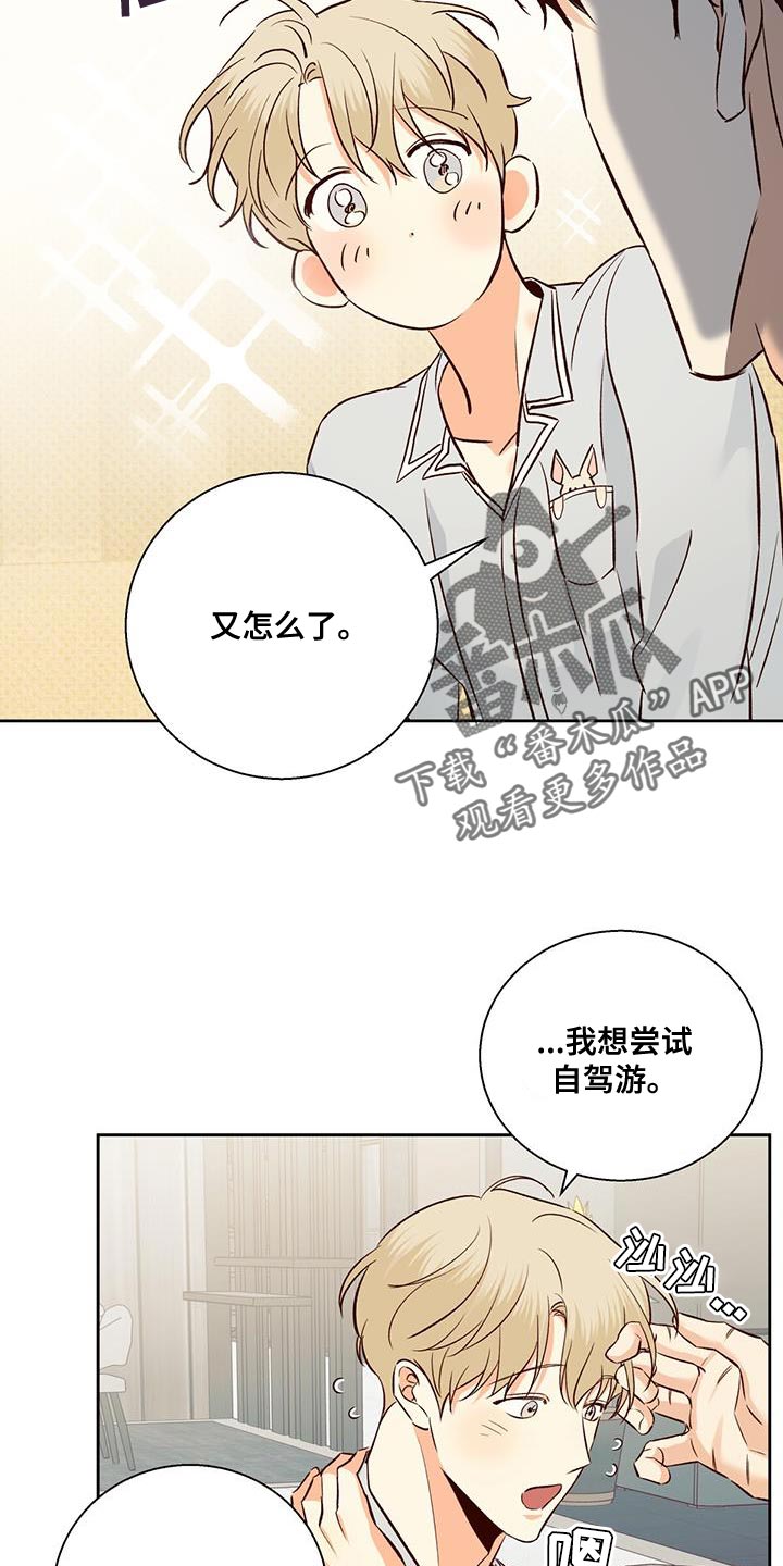 危险便利店的大叔在哪里看漫画,第179章：【第四季】开车1图