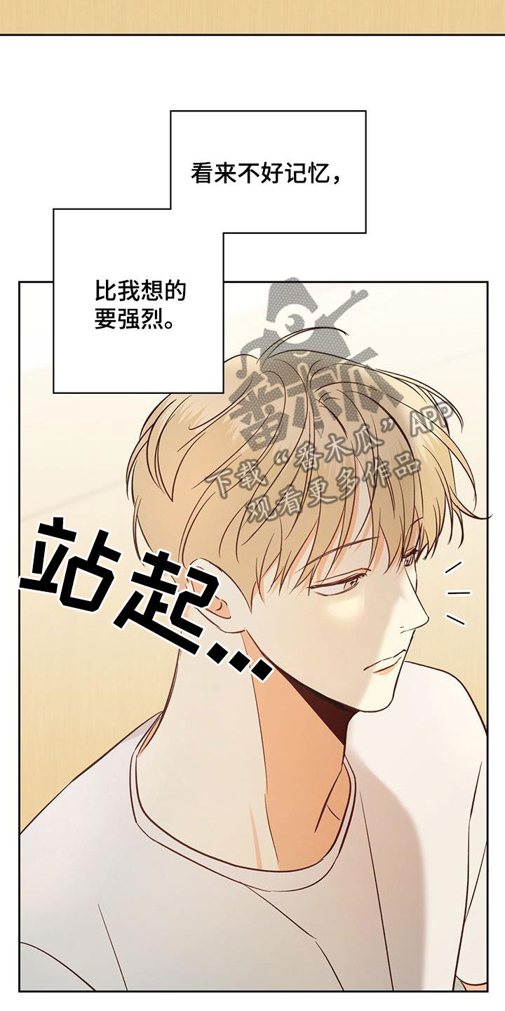 危险便利店全文免费阅读漫画,第187章：【番外】注定的结局1图