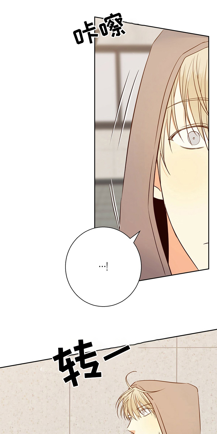 危险便利店第三季免费漫画,第113章：【第二季完结】消失1图