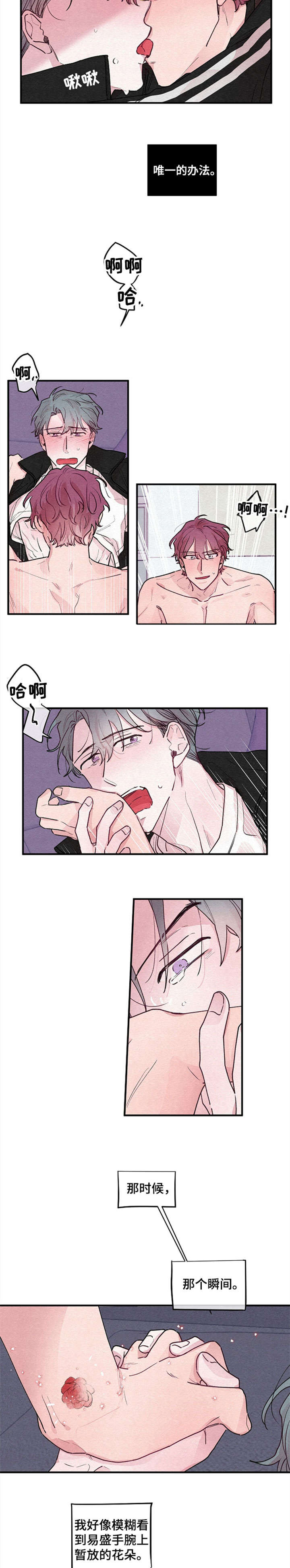 繁花盛开凤凰传奇漫画,第18章：绽放（完结）2图