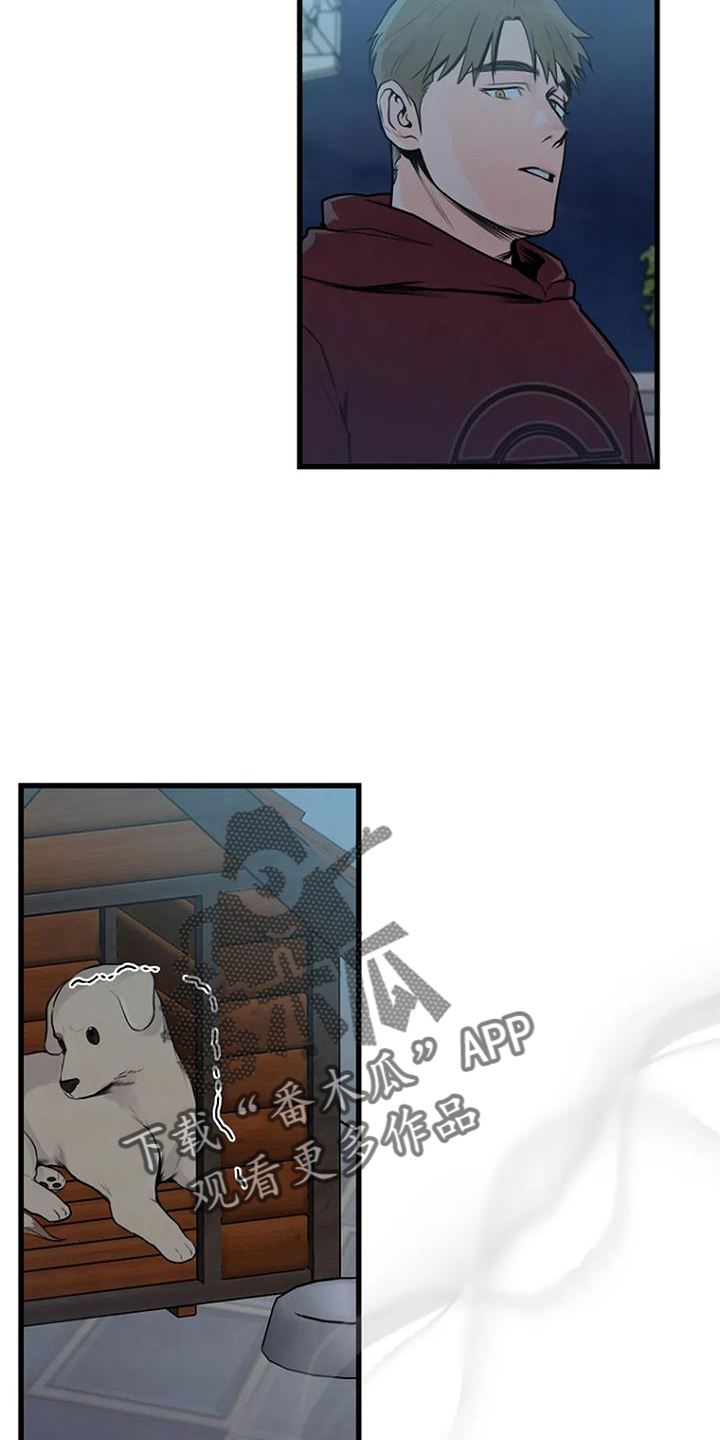 《漂白》漫画,第58章：偷盗2图