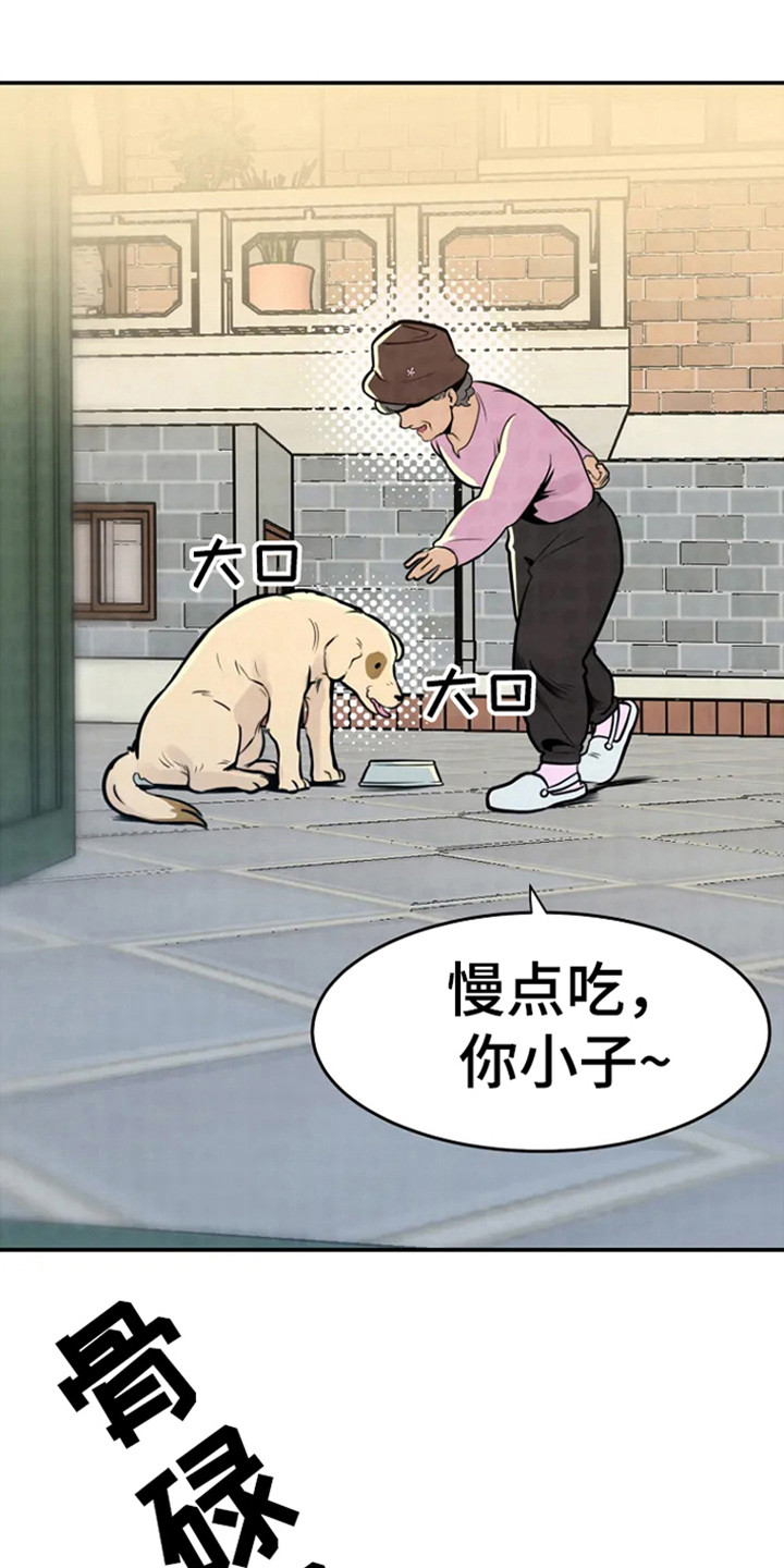 漂尸谜案漫画,第2章：回来了2图