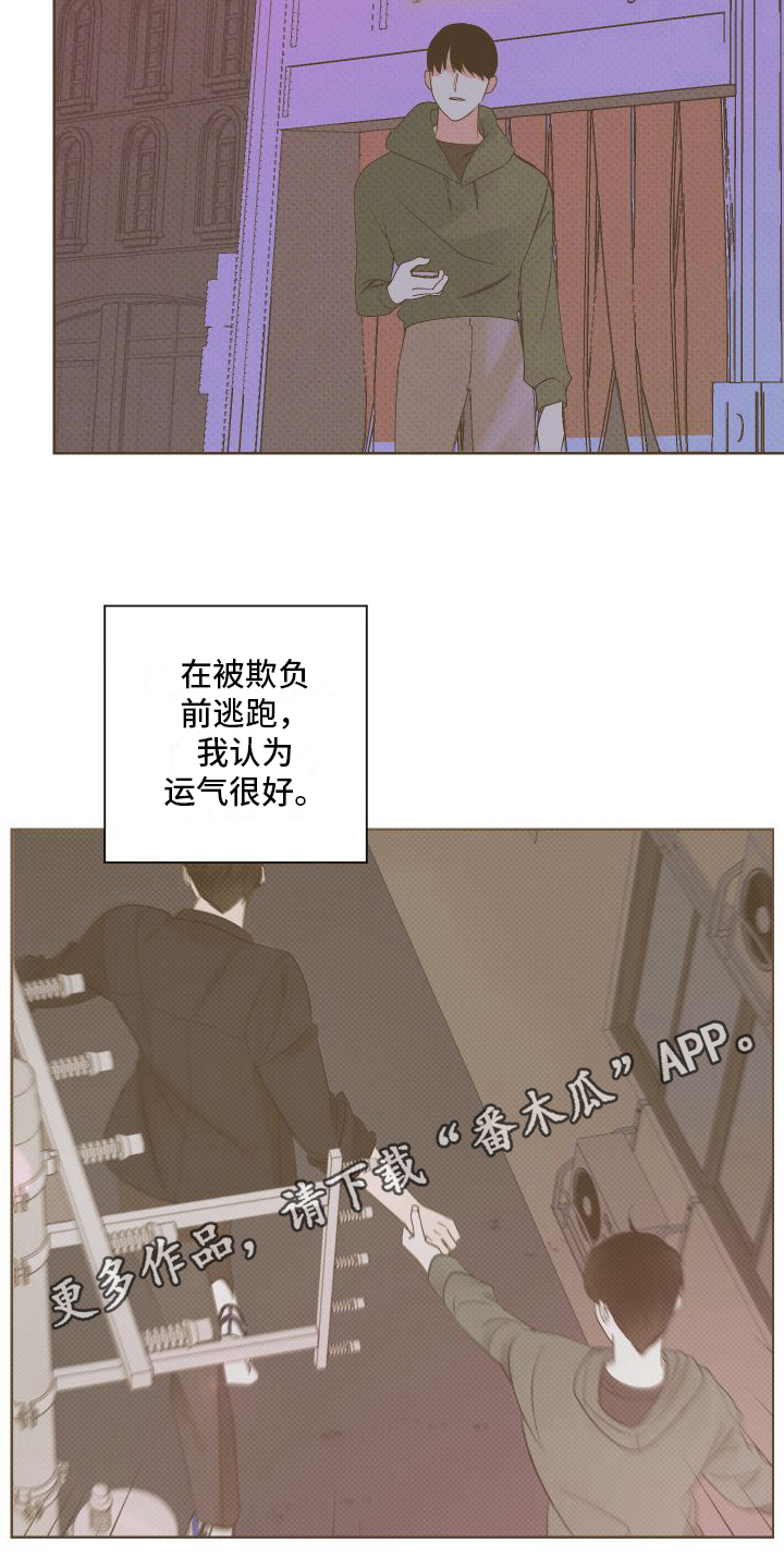 特立独行打一动物漫画,第8章：会喜欢的2图