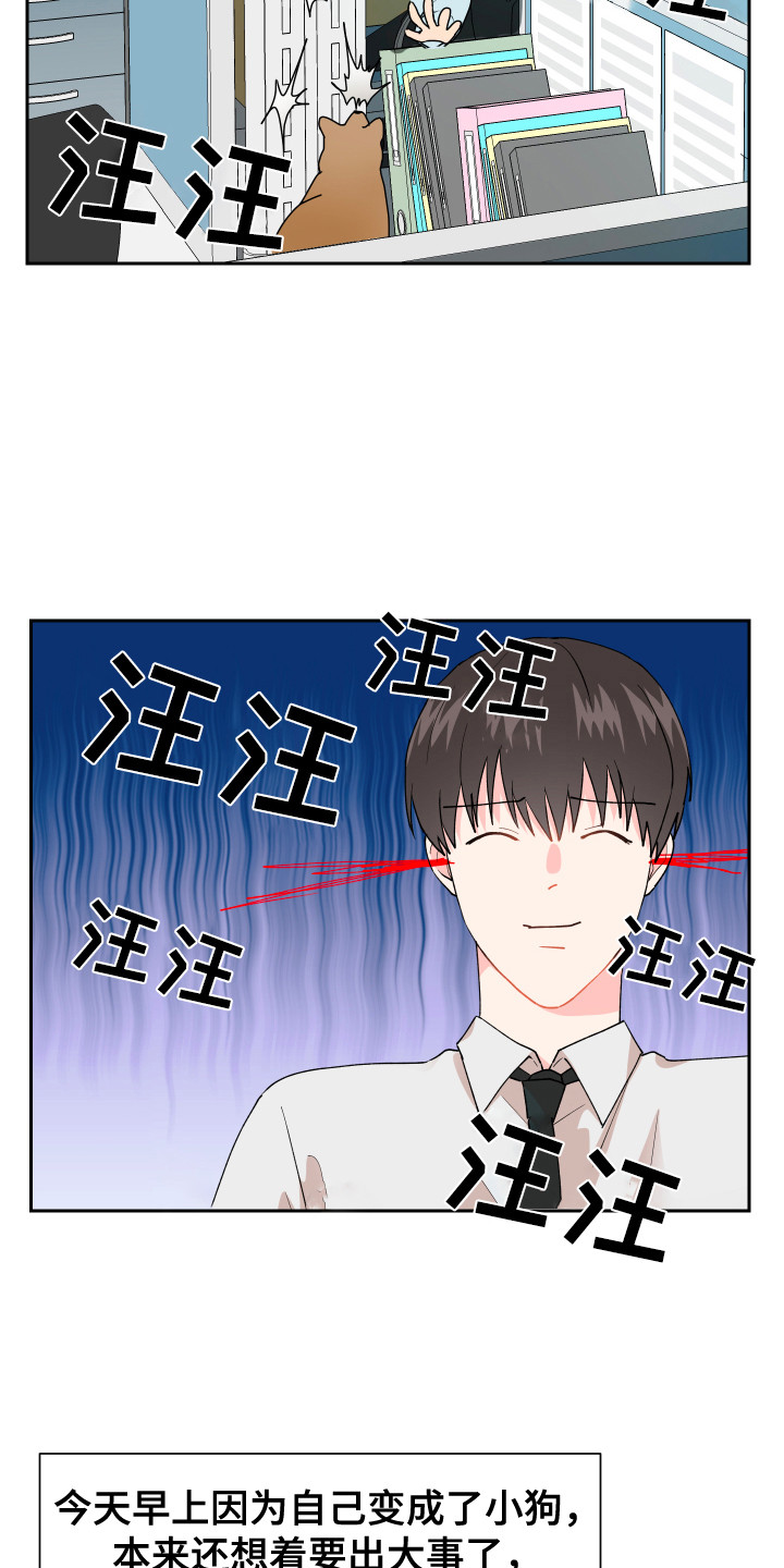 荒唐的期望漫画,第7章：脸红 2图