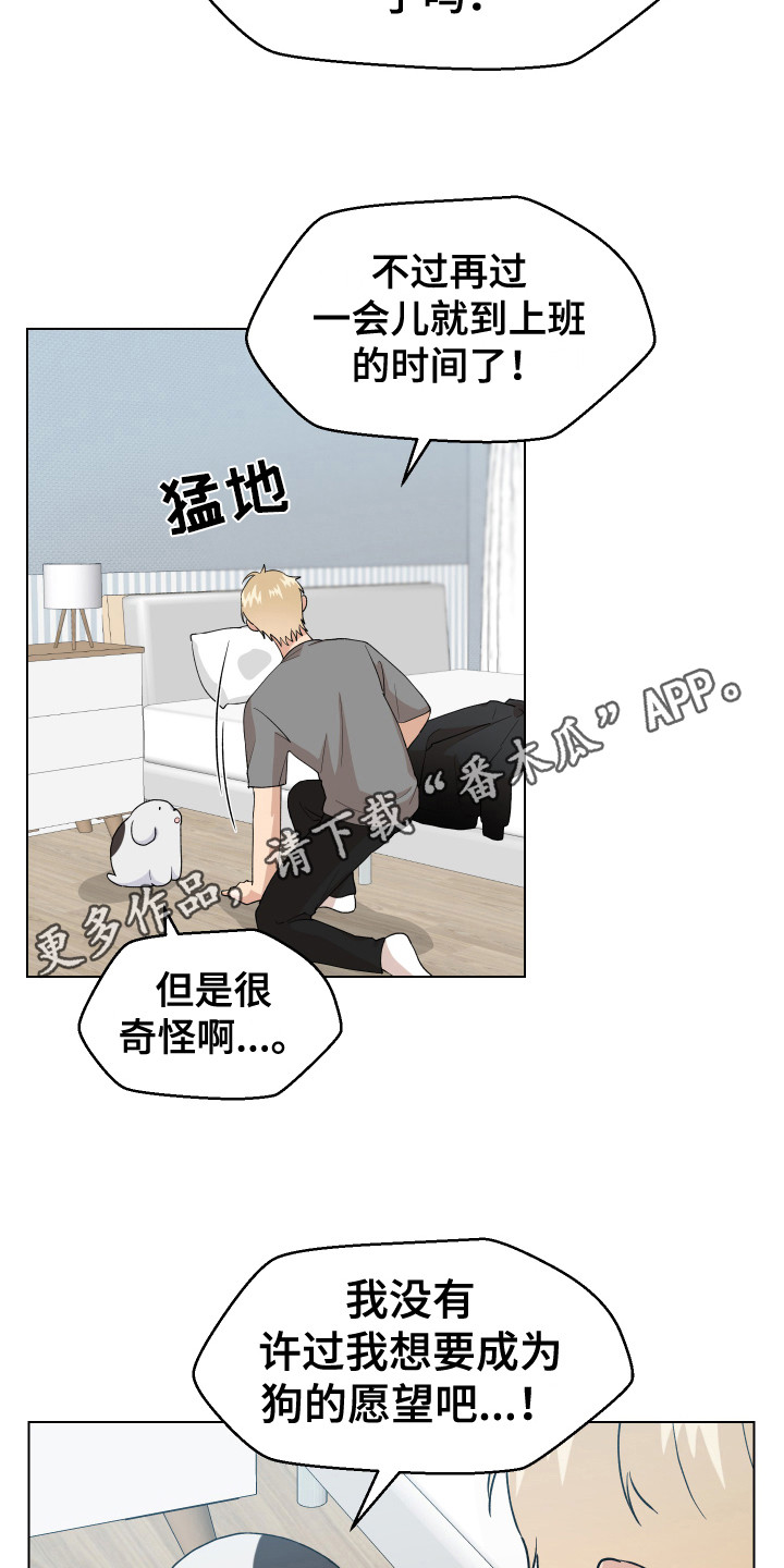 小时候的荒唐愿望图片漫画,第5章：愿望2图