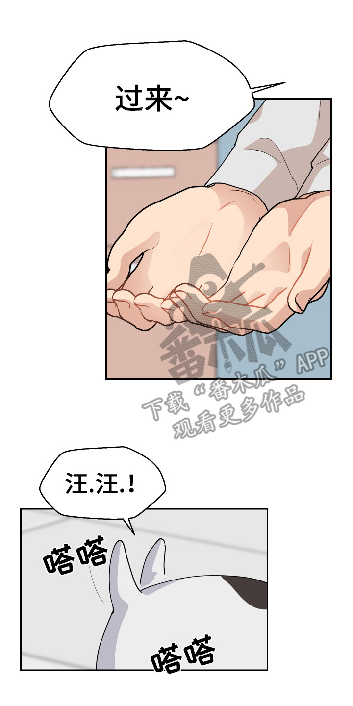 荒唐的愿望漫画,第12章：烦透了1图