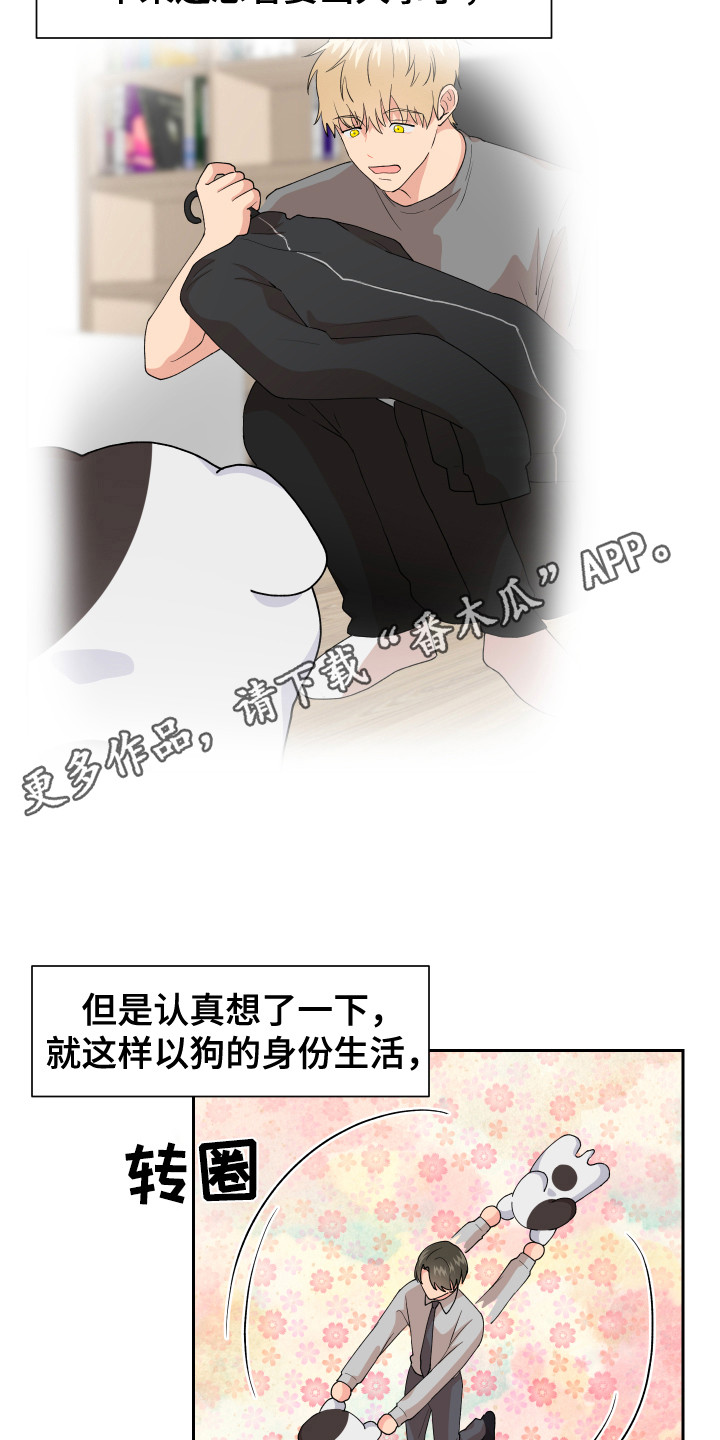 小时候的荒唐愿望图片漫画,第7章：脸红 1图