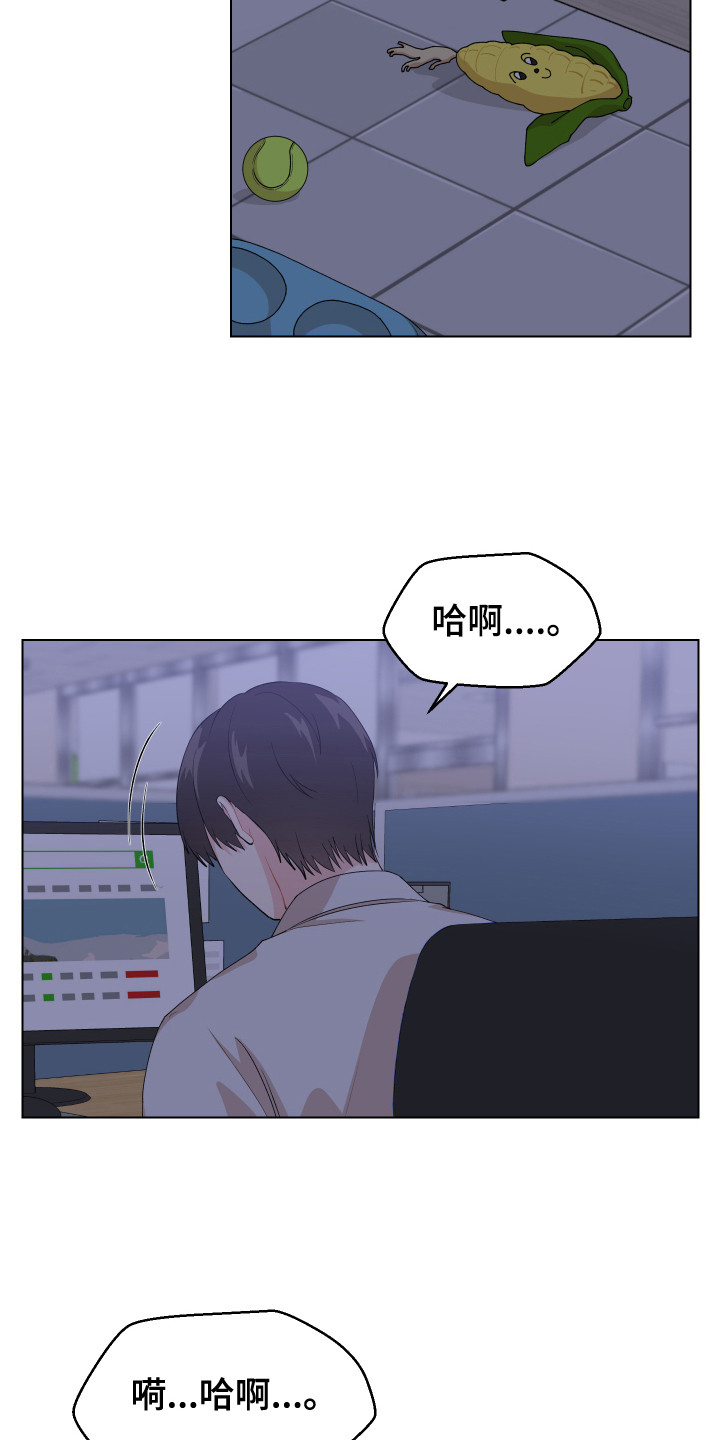 荒唐的期望漫画,第1章：一见钟情2图