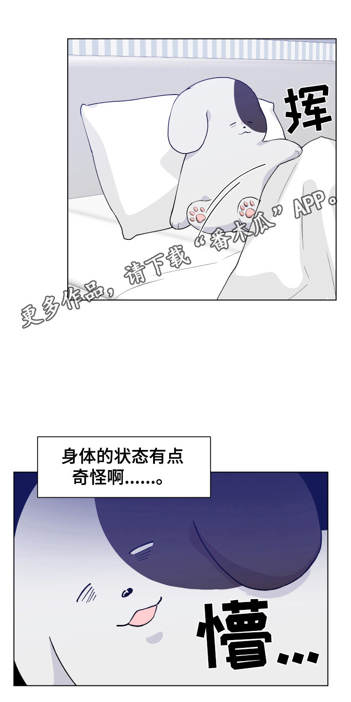 小时候的荒唐愿望图片漫画,第4章：变成狗1图