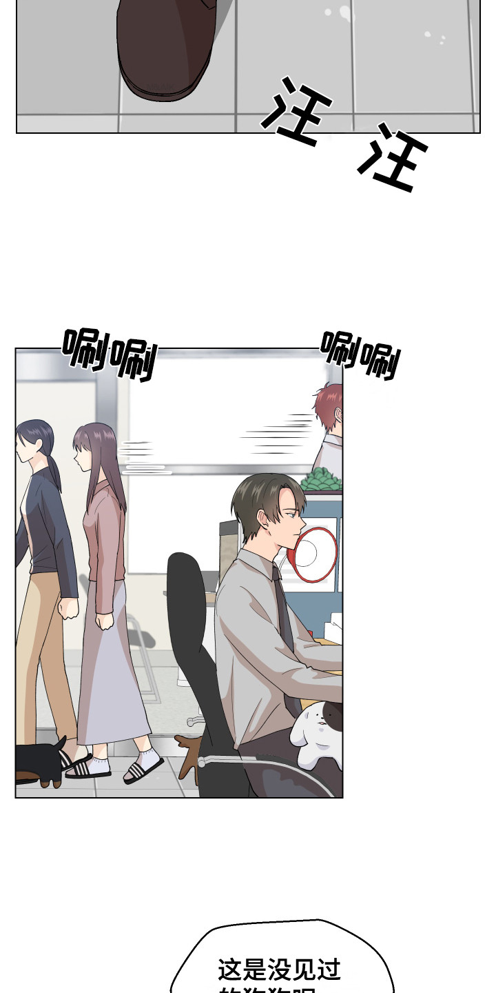 小时候的荒唐愿望图片漫画,第6章：很可爱1图