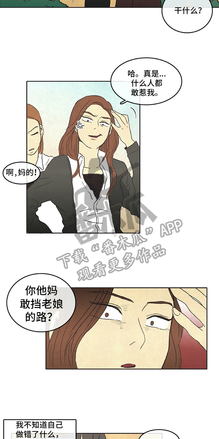 共存同异的意思漫画,第31章：暗中观察2图