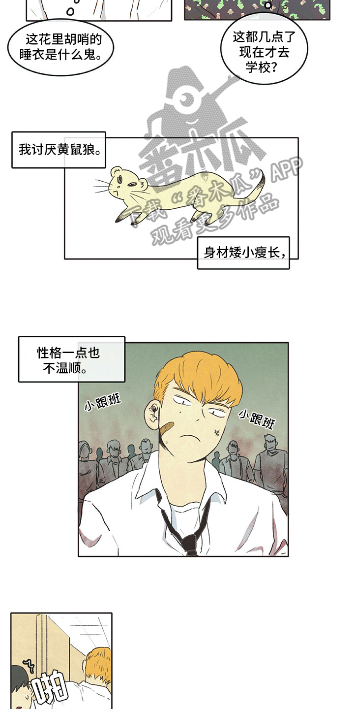 同存简介漫画,第14章：租客2图