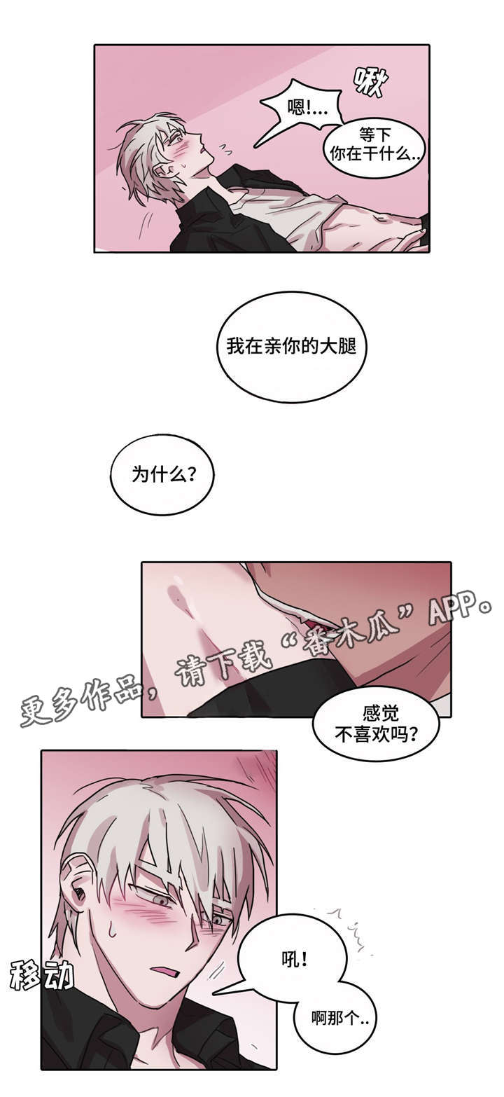 五者如光的读后感漫画,第30章：直面真心1图