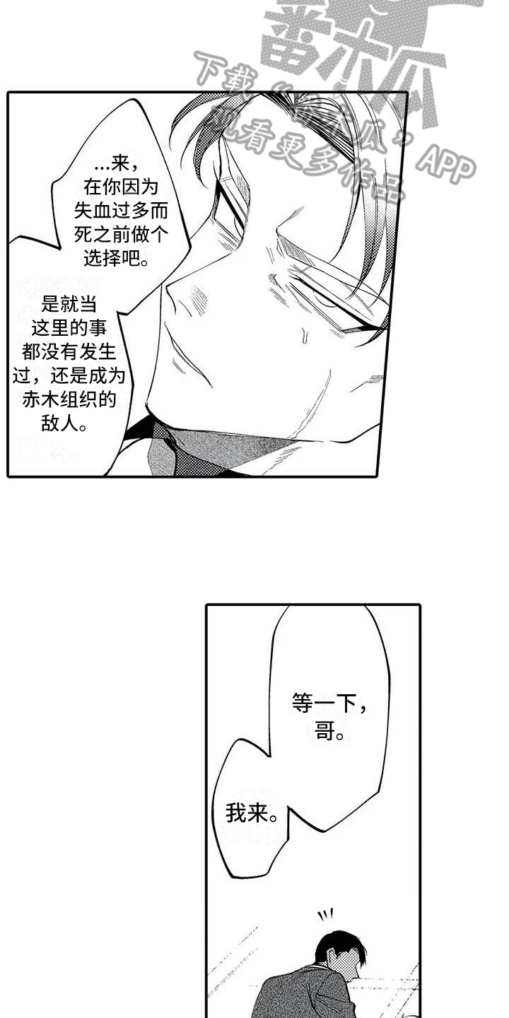 打翻友谊漫画,第23章：胜利1图
