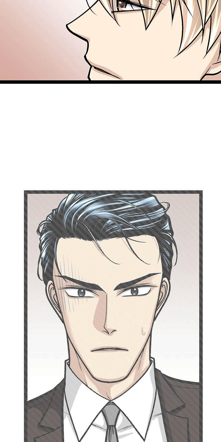 爱的不同表达方式各国漫画,第19章：害怕虫子2图
