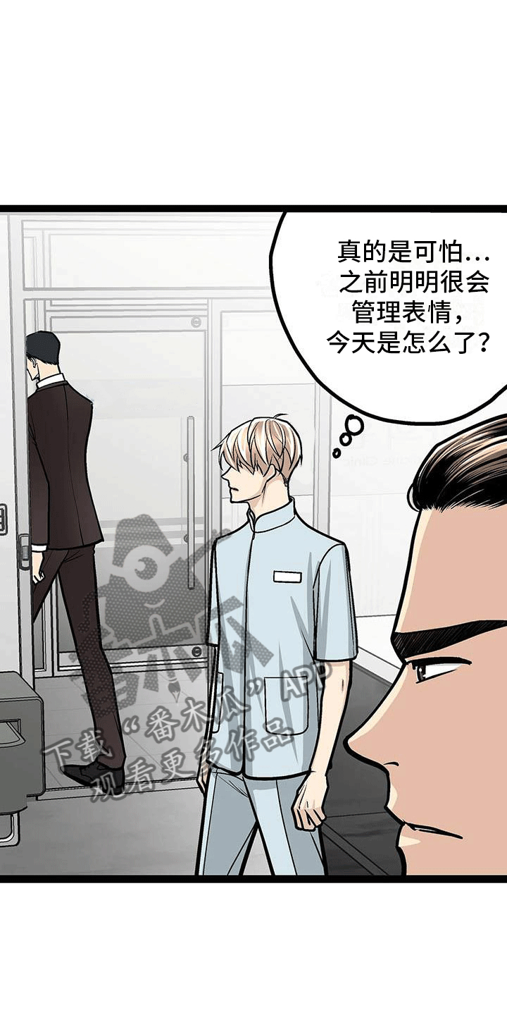 爱的不同表达方式各国漫画,第19章：害怕虫子2图