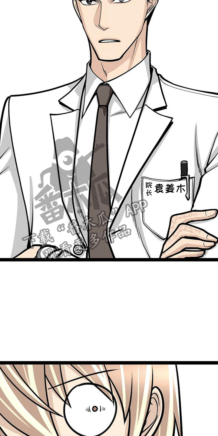 爱的不晚双男主小说漫画,第6章：韩医师？2图