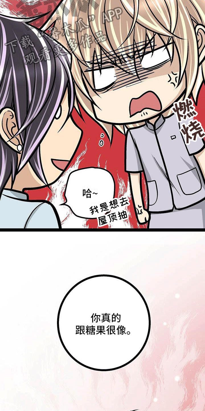 爱的不同表达漫画全集免费观看漫画,第10章：像糖果一样2图