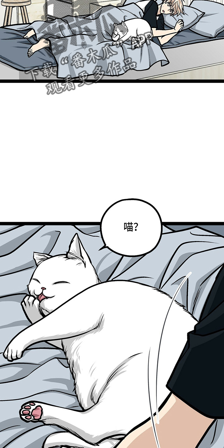 不同的爱的表达类型漫画,第23章：好帅2图