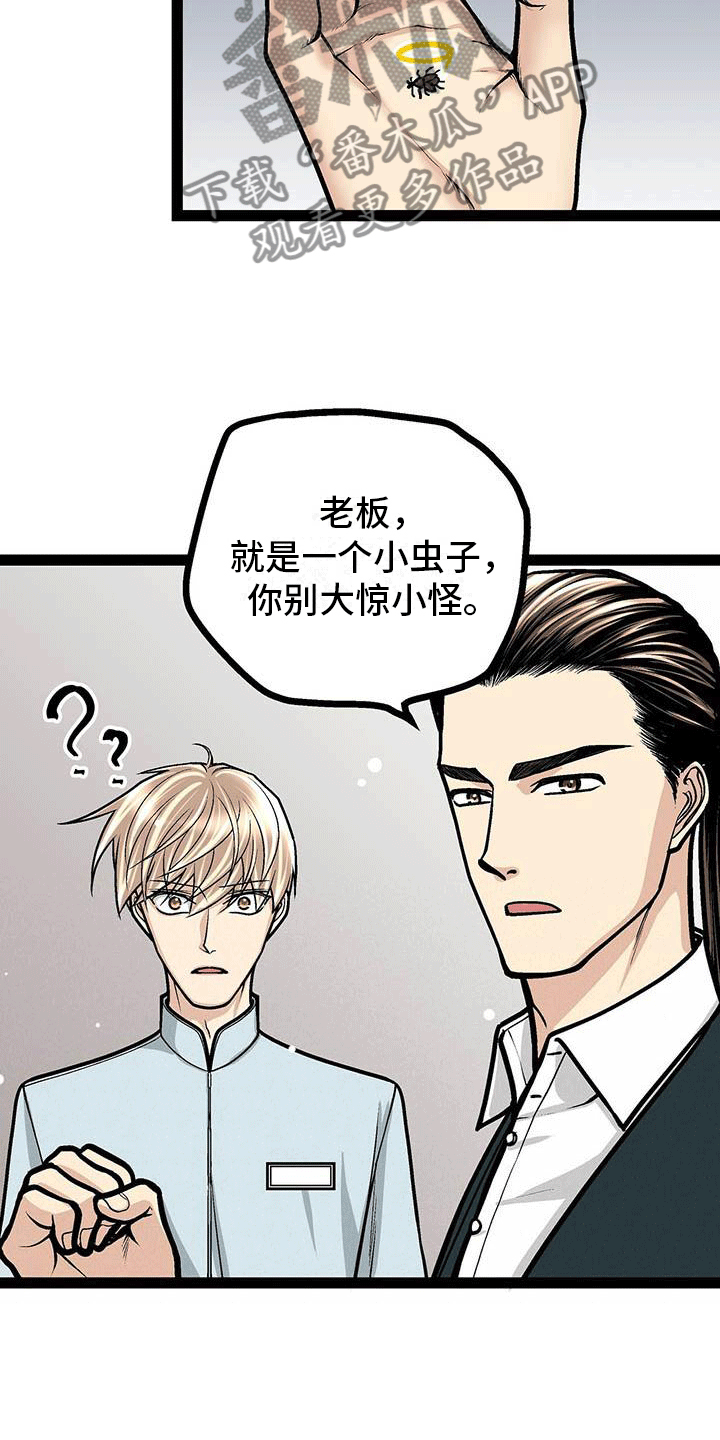 爱的不同语言文字漫画,第19章：害怕虫子2图