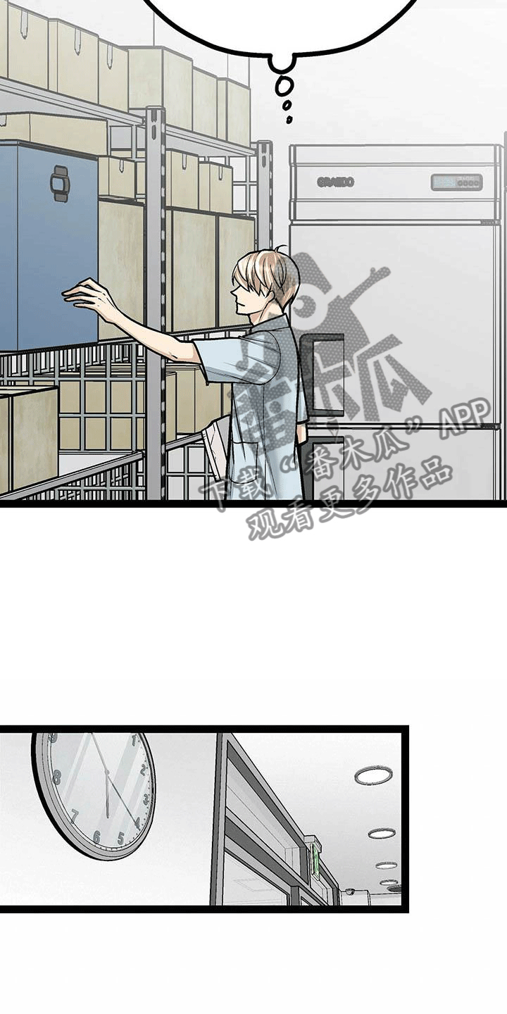 爱的不同表达方式各国漫画,第19章：害怕虫子2图