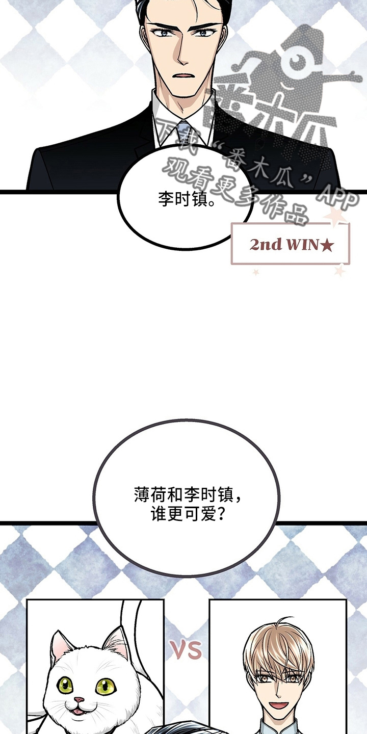 爱的不同表达方式作文漫画,第32章：三连问2图