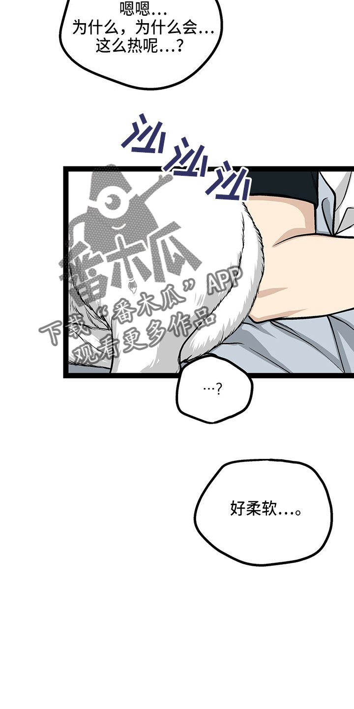 不同的爱的表达类型漫画,第23章：好帅2图