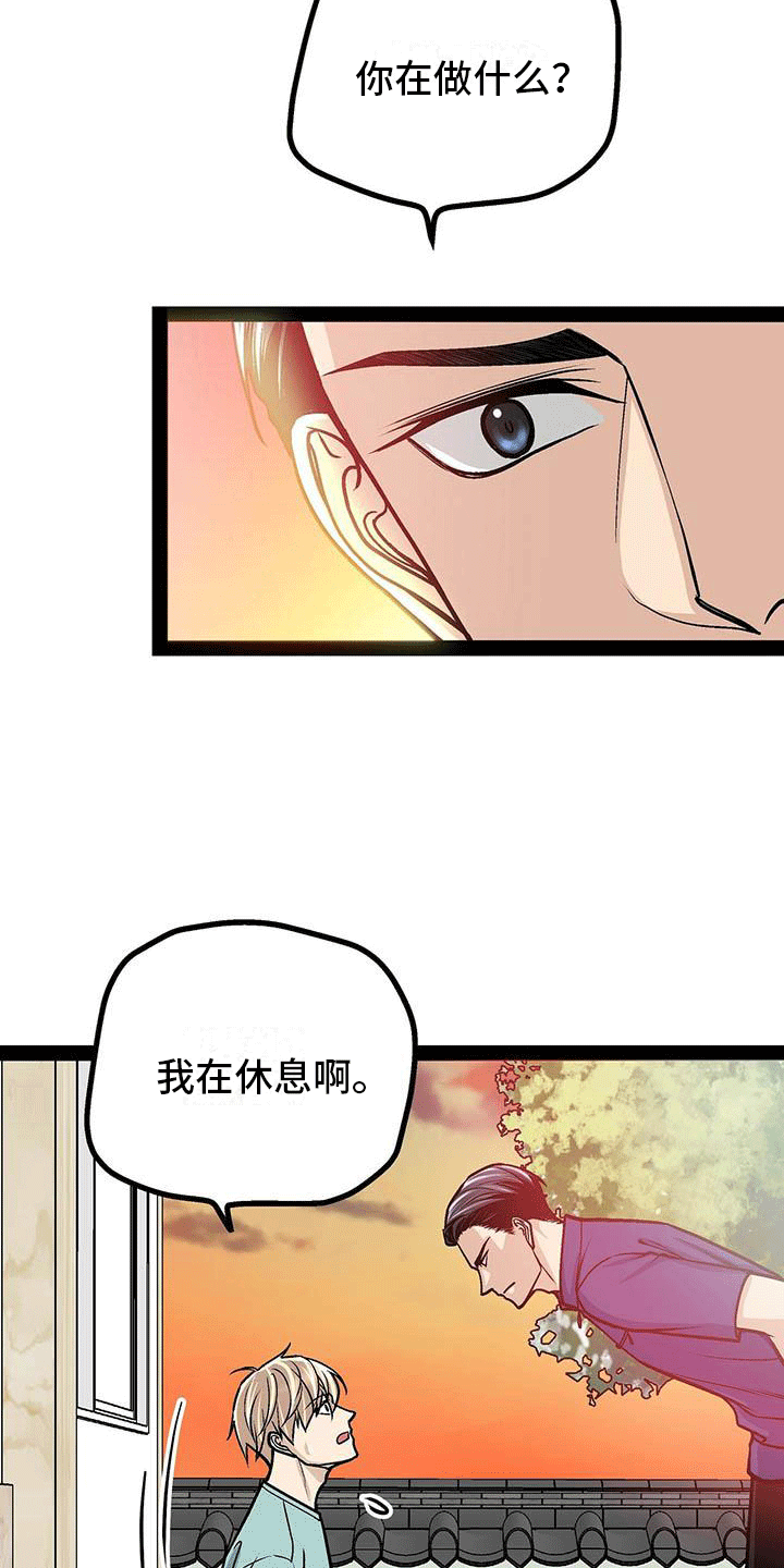 爱的不同语言文字漫画,第16章：心律失常？1图