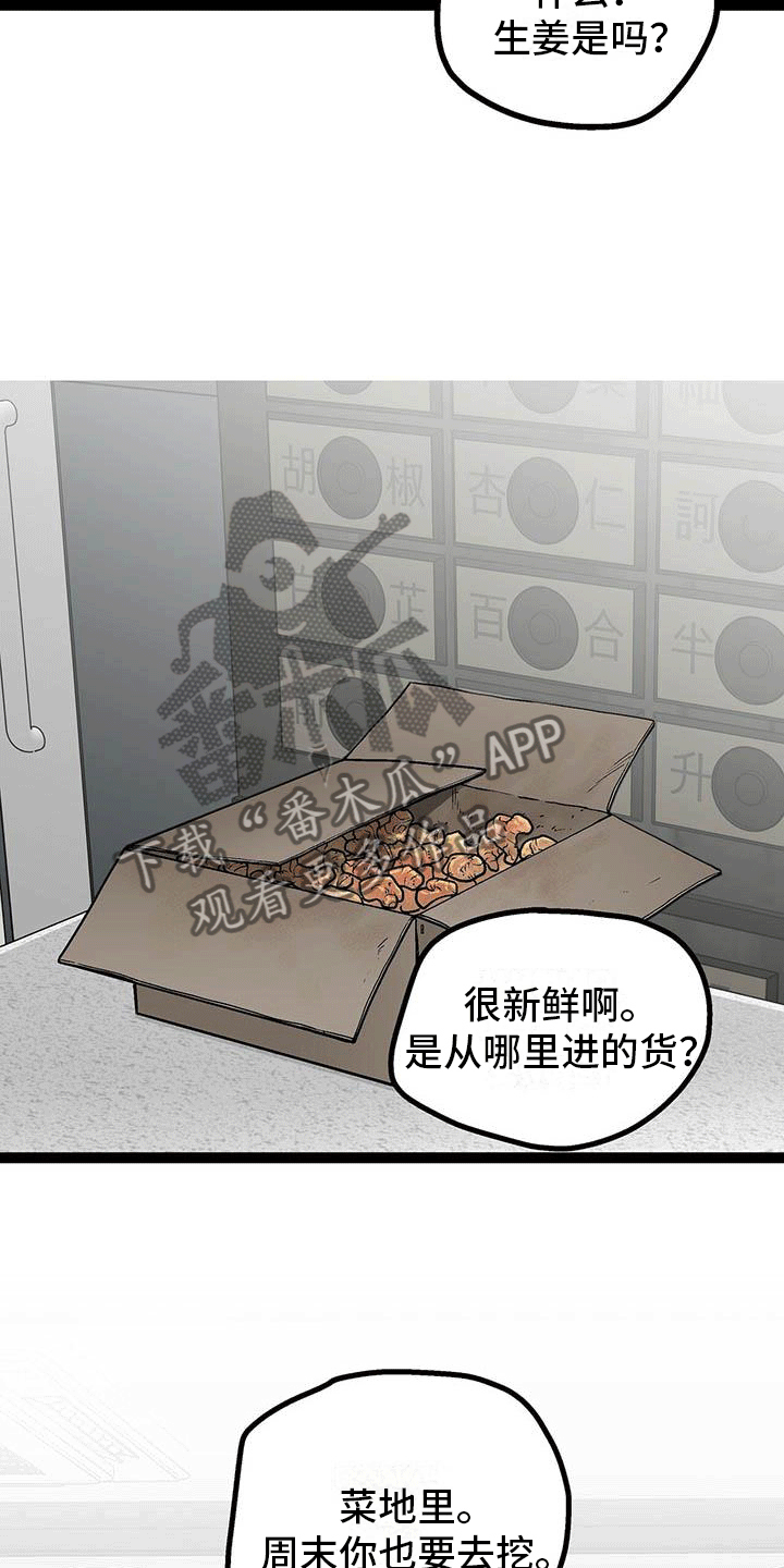 爱的不同表达漫画全集免费观看漫画,第10章：像糖果一样1图