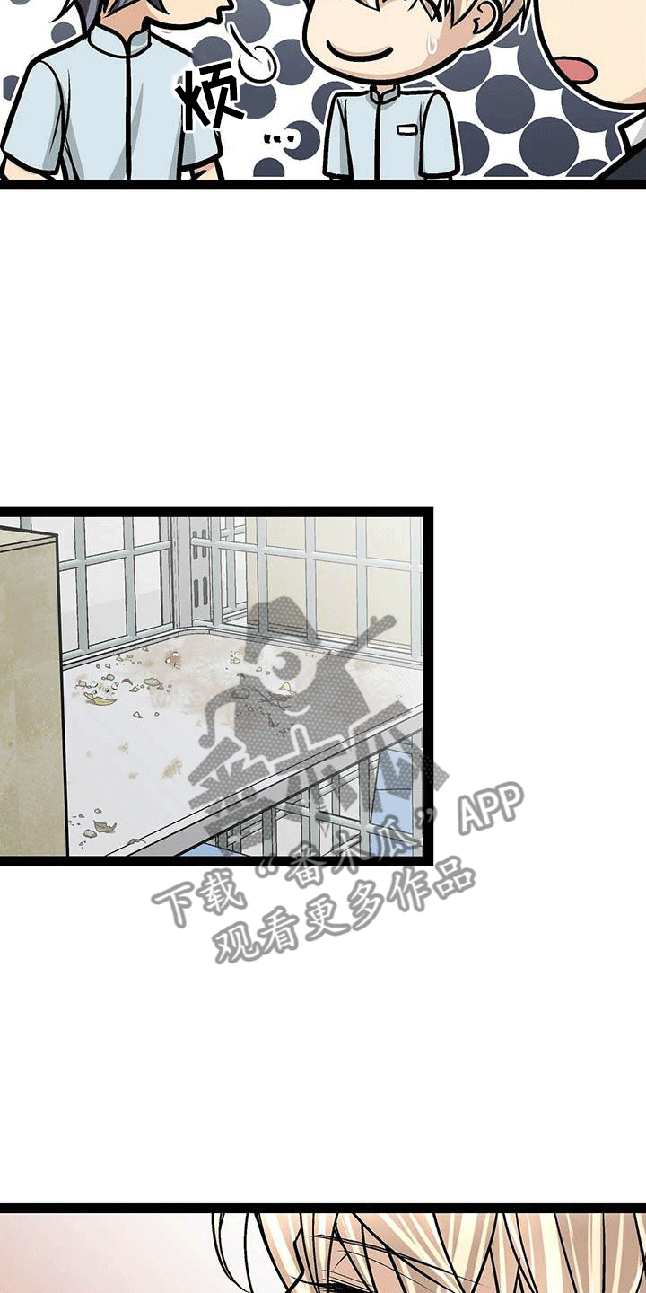 爱的不同表达方式各国漫画,第19章：害怕虫子1图